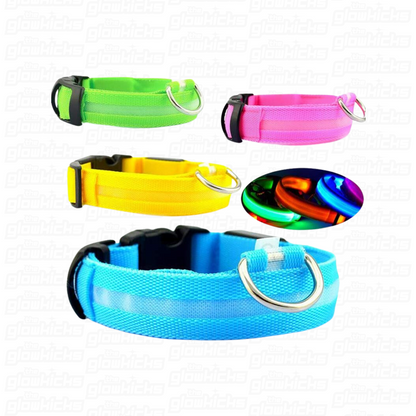 PET GLOW COLLARS