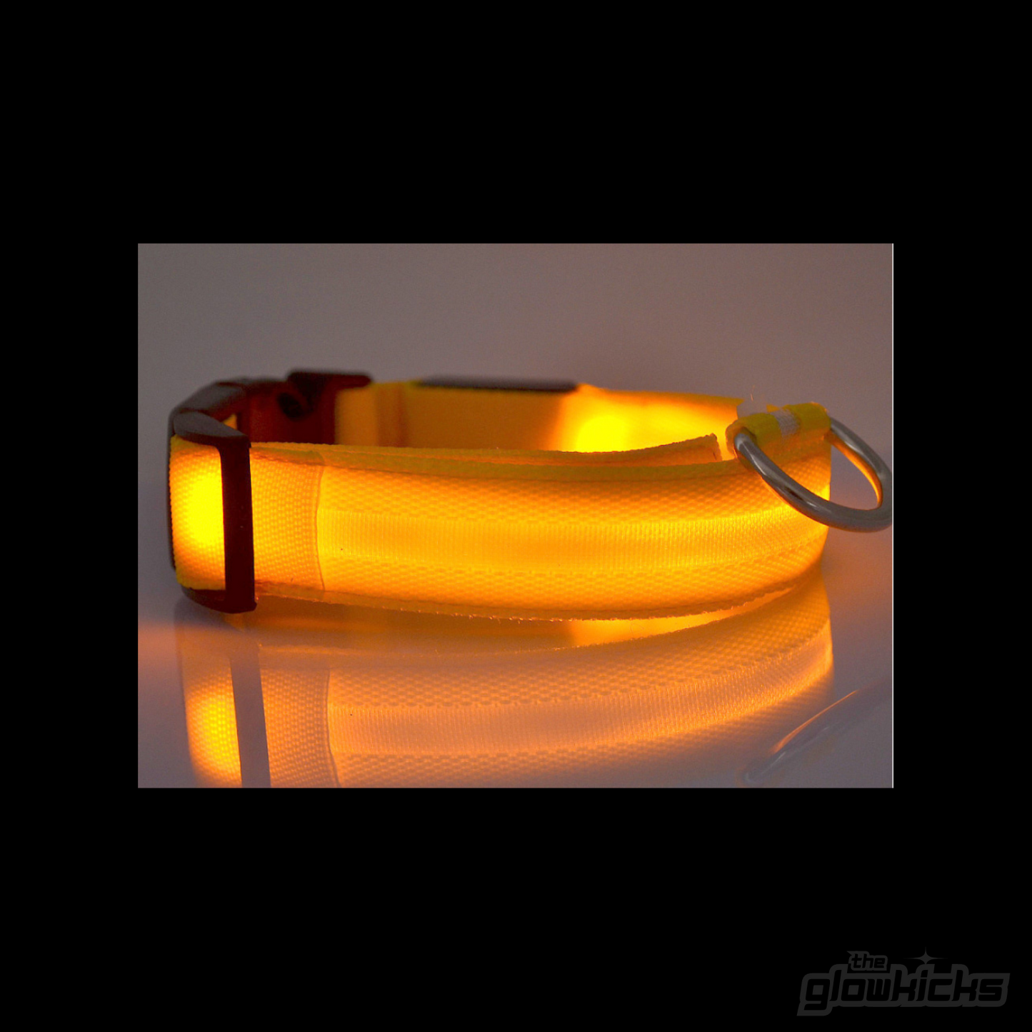 PET GLOW COLLARS