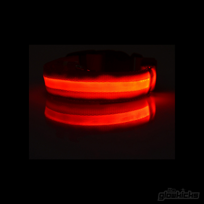 PET GLOW COLLARS