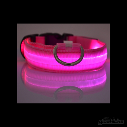 PET GLOW COLLARS