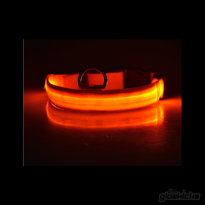 PET GLOW COLLARS