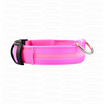 PET GLOW COLLARS